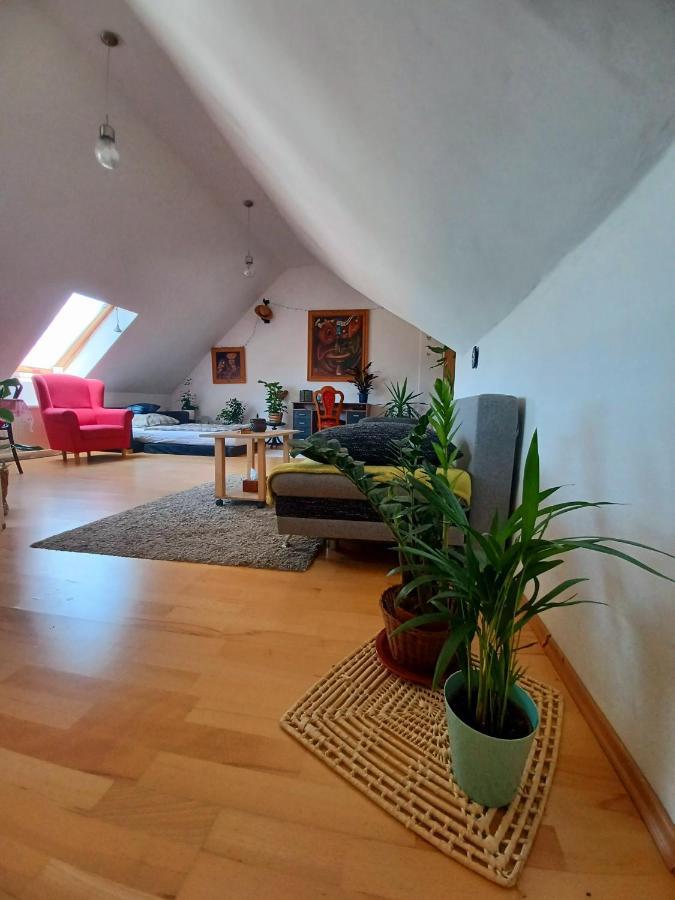 Artist Apartment Banská Bystrica Eksteriør billede